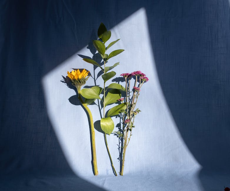 Puff, Paint, and Petals: California's Blooming Cannabis and Flower Arrangement Classes